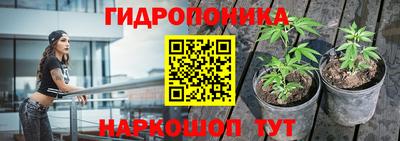 первитин Камышлов