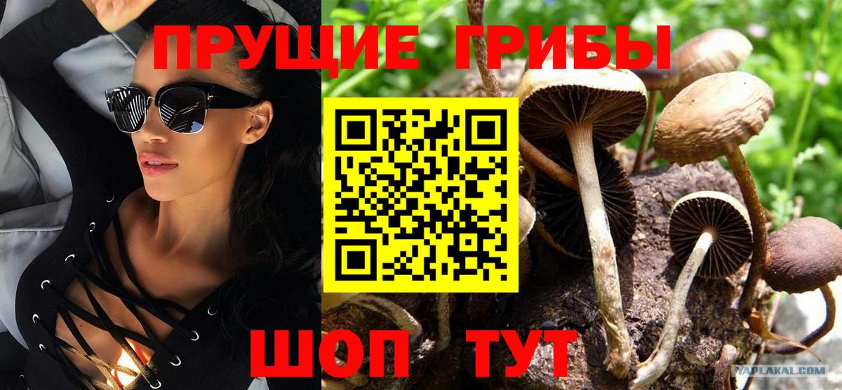 купить наркоту  Галлюциногенные грибы прущие грибы  Вход с VPN  Коммунар 